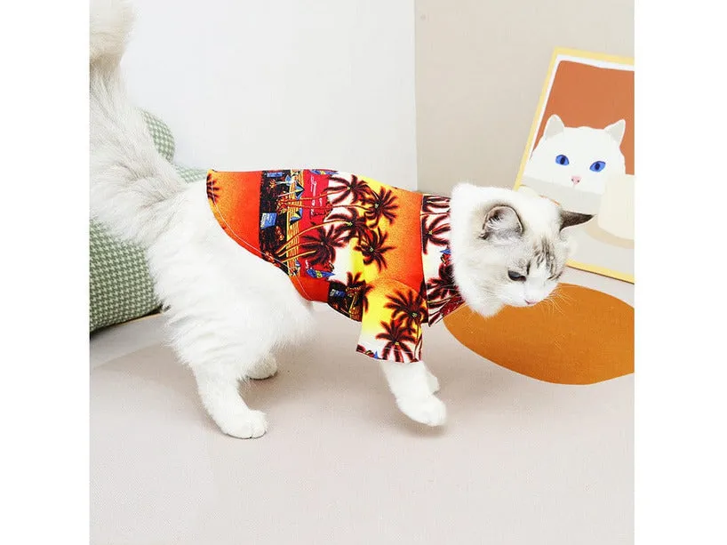 Cat Clothes Blue
